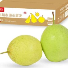 京鲜生 河北老树雪花梨 净重4.5斤 单果250g+ 生鲜水果 源头直发包邮9.34元（需领券）