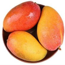 贵妃芒 净重4.5斤装 单果150g新低6.98元包邮（1.55元/斤）