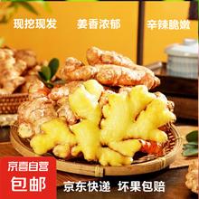 京喜 云南小黄姜 新鲜生姜 500g0.9元