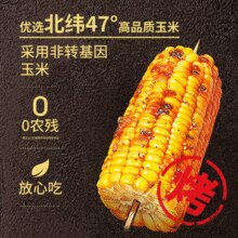临期清仓！北纬47° 东北烧烤味玉米1.2kg￥15.70 1.6折