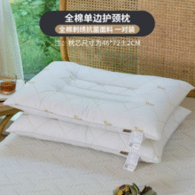 中国十大家纺品牌！紫罗兰 全棉刺绣抗菌/磁石决明子护颈枕头一对装 多款￥40.50 1.4折 比上一次爆料降低 ￥8.5