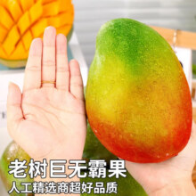 粤迎 芒果 5斤9.9元（需领券）