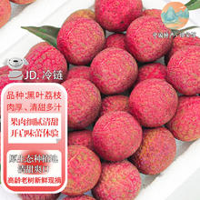 千里馋 黑叶荔枝新鲜超大 5斤券后18.9元