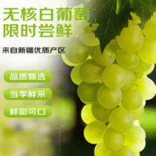 酸甜可口！京鲜生 新疆吐鲁番无核白葡萄 马奶无籽提子3.5斤￥28.55 8.2折 比上一次爆料降低 ￥0.83
