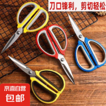 红白色剪刀家用园艺剪子剪刀强力花艺骨剪多功能剪刀 中号17*9cm*2把1元（合0.5元/件）