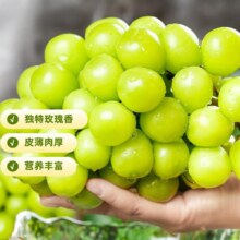 88vip：阳光玫瑰葡萄新鲜水果香印青提子2.7-3斤24.33元+3.02元淘金币