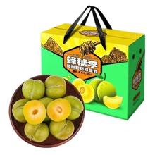 初石 正宗 蜂糖李 5斤装 单果25g+
