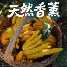 京东鲜花 佛手柑250-300g+高级树脂托盘+贺卡鲜切枝观赏套装新低31.04元包邮