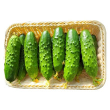 新鲜现摘农家小黄瓜 单果≥90g  3斤 净重5元（需领券）