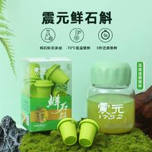 中华老字号！震元堂 正宗铁皮鲜石斛冻干纯粉 1g*7罐/送摇摇杯