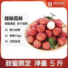 趣尝鲜 广西桂味荔枝 单果14g+ 净重5斤 1号会员店 源头直发39.9元