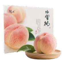 阳山 水蜜桃 时令水果桃子礼盒 一级果4-5两12个礼盒净重4.8斤多49.8元