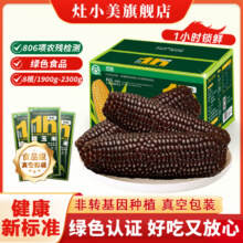 灶小美 绿色认证内蒙古黑糯玉米 8支装/箱1900~2300g19.9元包邮