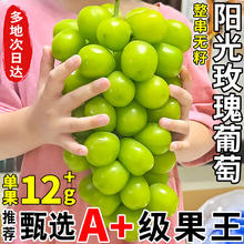 JDBMO 葡萄阳光玫瑰 云南晴王香印无籽提子孕妇水果礼盒 5斤彩箱礼盒单粒8-16g 净4斤33.9元