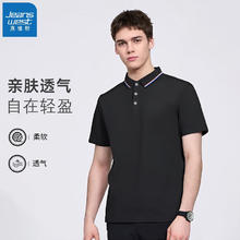 真维斯 2025新款短袖T恤男士春夏季polo衫 黑色 3XL13.23元