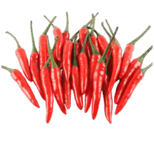 京鲜生 山东小米辣 净重2斤 新鲜辣椒 新鲜蔬菜 源头直发包邮13.9元 (券后省5,月销1w+)