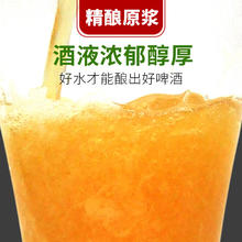 冰克斯 BINX 青岛原浆特产精酿啤酒整箱1L *4桶 礼盒装 精酿51.2元