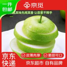 京觅 安徽砀山青梨 净重4.5斤 单果250g+ 6-9个 青皮皇冠梨 源头直发券后19.65元