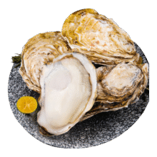 乳山牡蛎【源头直发】鲜活乳山生蚝2XL 净重3斤装 9-12只 海鲜烧烤食材24.9元 (券后省10,月销1000+)
