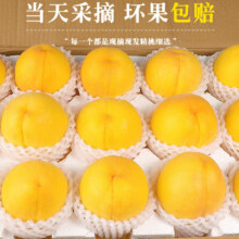 闽域寻鲜 山东蒙阴黄桃 净重4.5斤丨单果100g+【果园直发 甄选老树果】13.9元（微信省钱卡8.9）