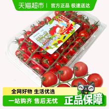 88VIP会员：一颗大 串收樱桃小番茄应季水果生吃西红柿自然熟 2斤装券后18.03元