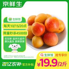 京鲜生 限量抢购：京鲜生 新疆吊干杏 净重2斤 单果12g+（每天10、15、20点抢）19.9元