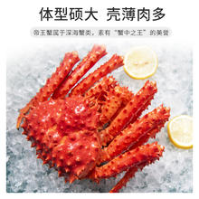 今锦上 鲜活熟冻帝王蟹智利进口大螃蟹净重800-1000g150元