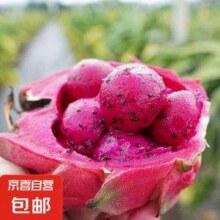 京喜 海南金都一号红心火龙果  单果200g-300g 4斤9.89元包邮（2.47元/斤）