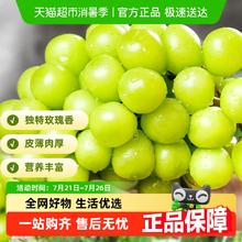 88VIP会员：PANZHIHUA FRUIT 阳光玫瑰 中大果单果10-12g 净重2.7-3斤券后22.61元