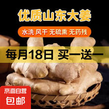 京喜 山东大姜优质生姜老姜 优选 1斤（买一赠一）券后1.99元