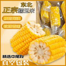 京榴香正宗东北玉米 新鲜蔬菜生鲜 8个装/单果150-100g24.9元