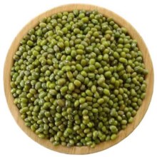 夏季皮薄小绿豆新鲜发芽豆绿豆粥绿豆糕绿豆汤消暑易煮营7元