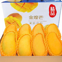 精选金煌芒果 4.5斤 特大果 （单果400g-1000g）13.9元（需买2件，需用券）