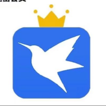 再降价：迅雷 白金会员 12个月