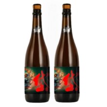 岱记精酿 精酿啤酒 750ml*2瓶21.58元包邮（需试用）