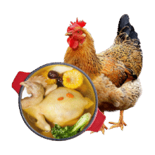 88vip:温氏食品土鸡散养慢养鸡肉59.66元（需领券，合29.83元/件）