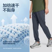 斯凯奇 夏季速干运动裤男户外慢跑裤男式休闲裤99元