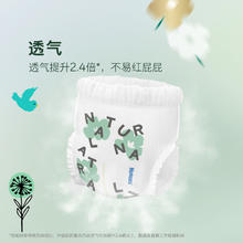 好奇 心钻 拉拉裤 小森林XL片1.9元