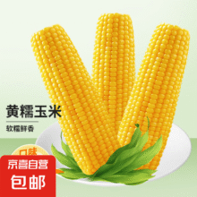 20点：黄糯玉米 颗粒饱满大棒玉米 粗粮杂粮代餐 黄糯玉米180g 3支6.9元（买一赠一）