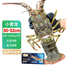 渔游记 印尼小青龙虾1000g/2只 超大龙虾 花龙海鲜水产冷冻大虾生鲜 虾类198.38元