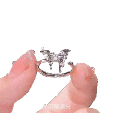 银色镂空锆石蝴蝶开口戒指女新款高级感轻奢时尚925银2.91元