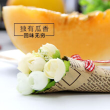 正宗甘肃现摘民勤沙漠蜜瓜【精品装】 9斤(净重8-9斤)2-4个15.9元