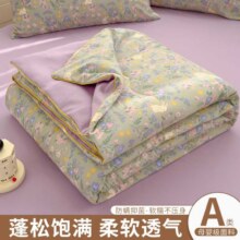双层纱夏被空调被夏季薄夏凉被子可机洗被芯双人儿童夏天学生宿舍26元