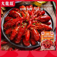 【2袋装】大龙燚香辣味小龙虾调料油焖大虾螃蟹花甲料专用调味料S9.9元 (券后省30)