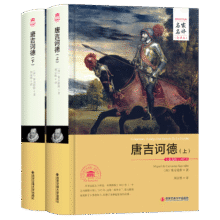 唐吉诃德（套装上下册 世界文学名著 名家名译 全译本）33.4元