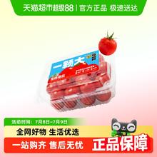 88VIP会员：一颗大 樱桃番茄精品粒装酸甜爆汁基地直发券后23.65元