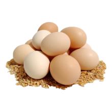 皇家小虎 脆皮烤肠原味500g（任选5件）8.8元（需买5件，需用券）