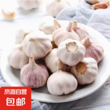 新鲜干蒜 1斤 净重2.49元包邮