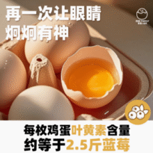 蛋蛋小盆友 叶黄素富硒可生食鸡蛋30枚/1.59kg￥29.17 5.9折