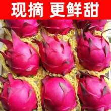 云南正宗金都一号火龙果 5斤大果【4-7个】9.8元